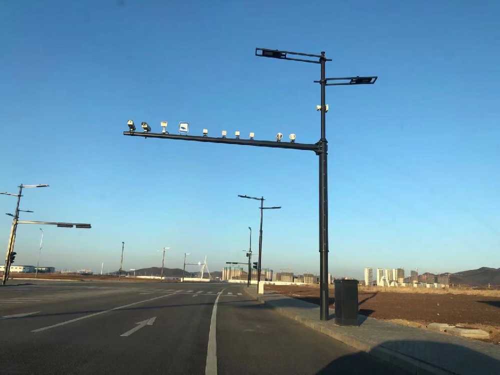 聊城市黑龙江佳木斯综合路灯杆项目